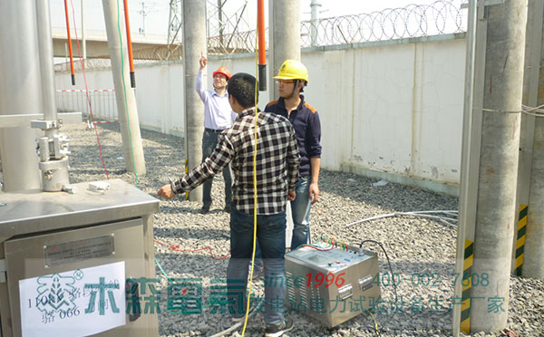 公司品牌看輸電線(xiàn)路工頻參數(shù)測(cè)試售后